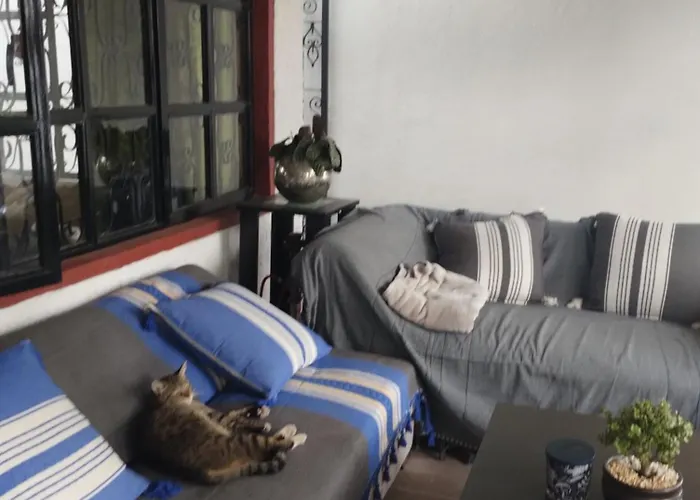 Urban Oasis Bed and breakfast