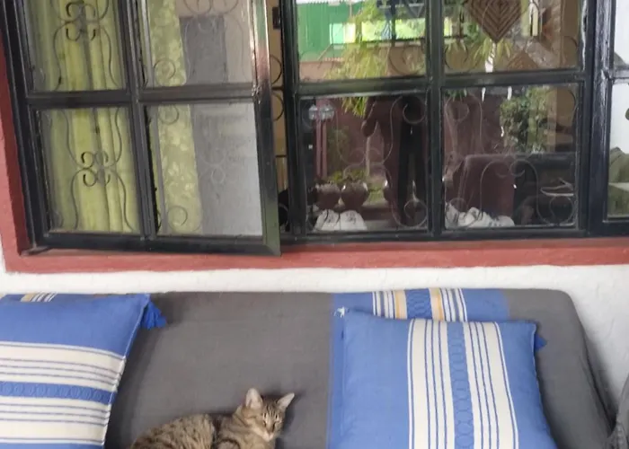 Urban Oasis Bed and breakfast 3*