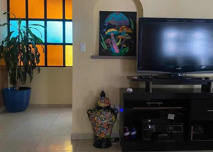 Urban Oasis Bed and breakfast 3*